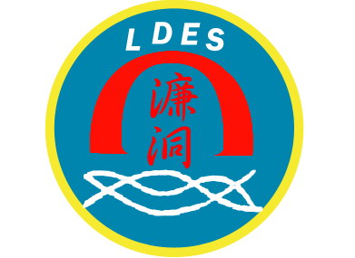 Ldes 60 years
